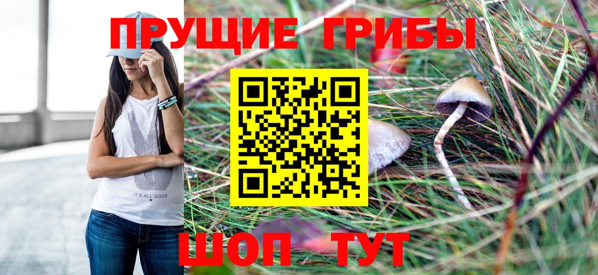 Псилоцибиновые грибы прущие грибы  Ялта  Псилоцибиновые грибы Magic Shrooms 
