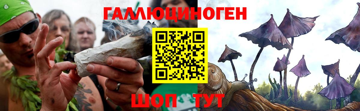 Псилоцибиновые грибы мухоморы Ялта